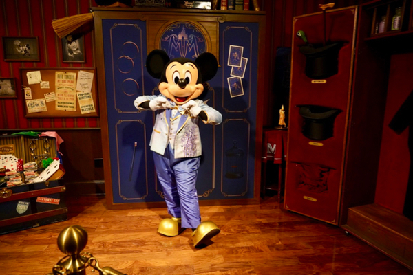Mickey Magic Kingdom LL (1)